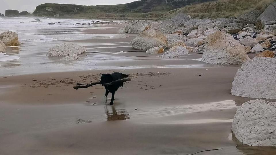 Dunseverick Ramblers Rest Bushmills Bagian luar foto