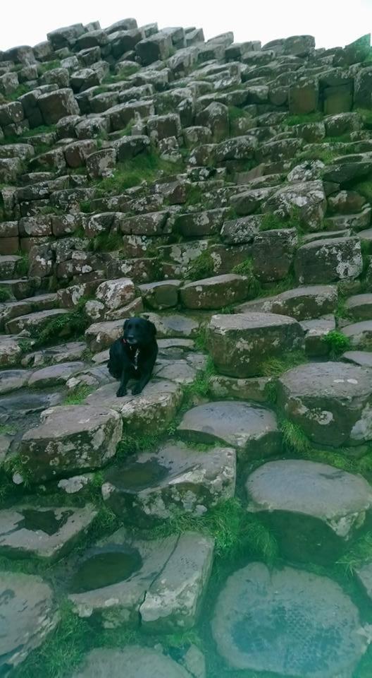 Dunseverick Ramblers Rest Bushmills Bagian luar foto